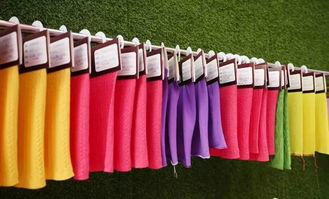 智造 新織城 第十八屆中國 大朗 國際毛織產(chǎn)品交易會(huì)圓滿成功