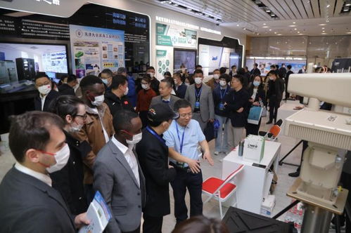 大陸_齊魯網(wǎng)