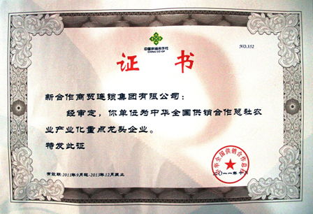 中國(guó)供銷集團(tuán)